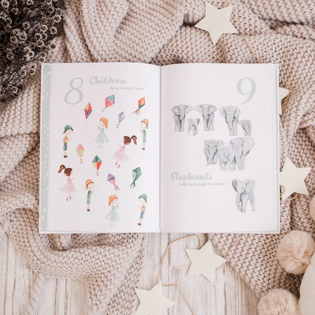 Adored Illustrations The Amazing 123 Book