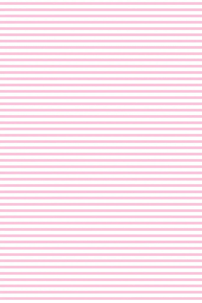 Milky Clothing Pink Stripe Rib Zip Romper