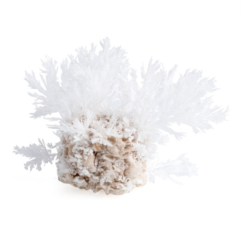 Magic Rock Frozen