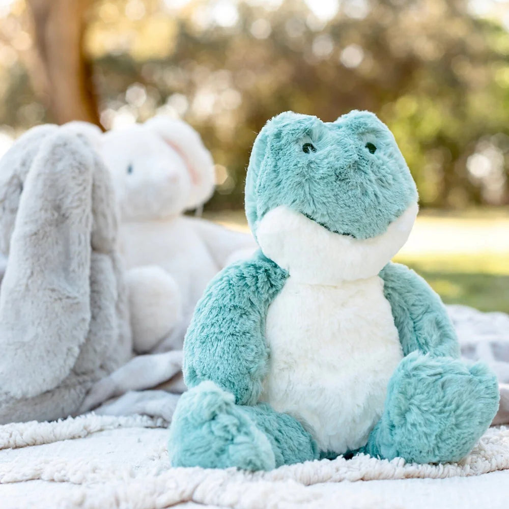 Freddy Frog Soft Toy