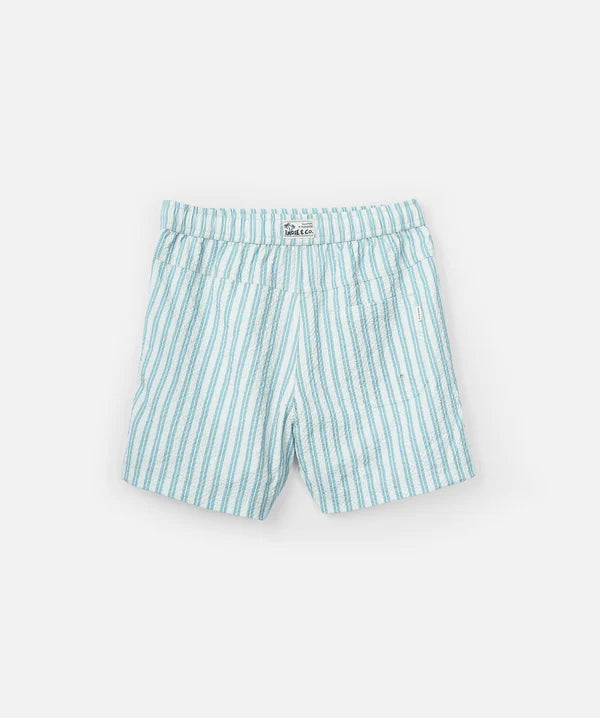 Indie Kids The San Vito Swim Trunk - Sky Blue
