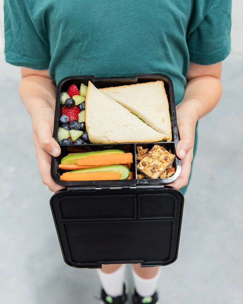 Montii Bento Three Lunch Box - Dinosaur Land