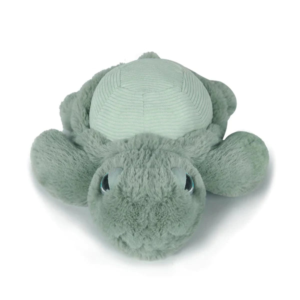O.B Designs Little Tyler Turtle Soft Toy