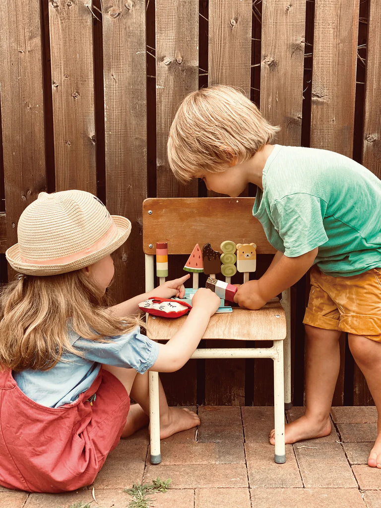 Tender Leaf Toys - Play Pay Pack