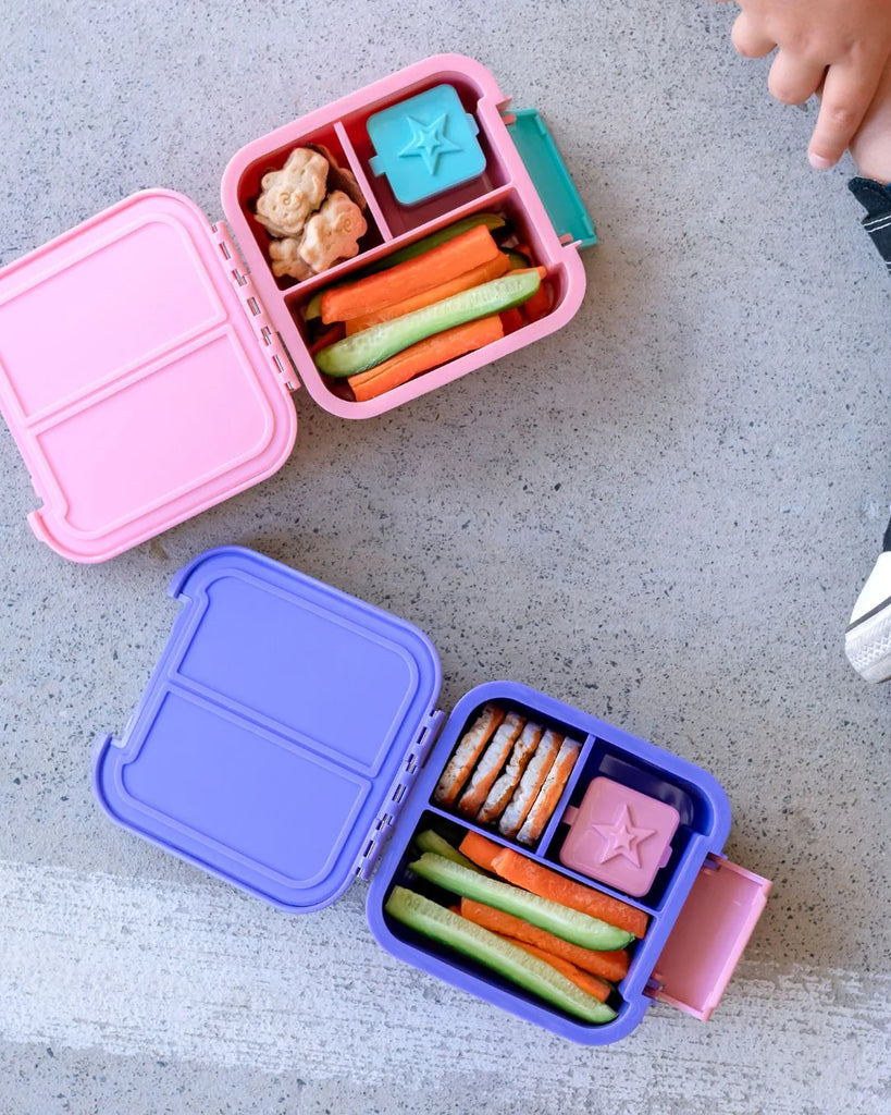 Montii Dip & Sauce Box - Iced Berry