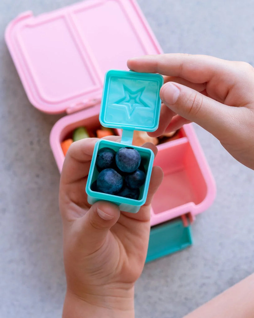 Montii Dip & Sauce Box - Iced Berry