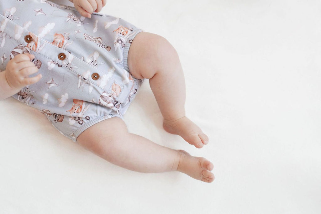 Aster & Oak Flying Friends Bubble Romper - Blue