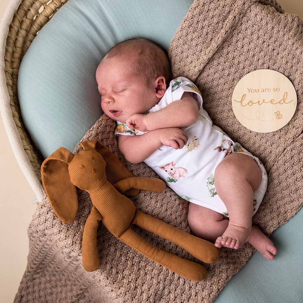 Snuggle Hunny Short Sleeve Organic Bodysuit - Farm
