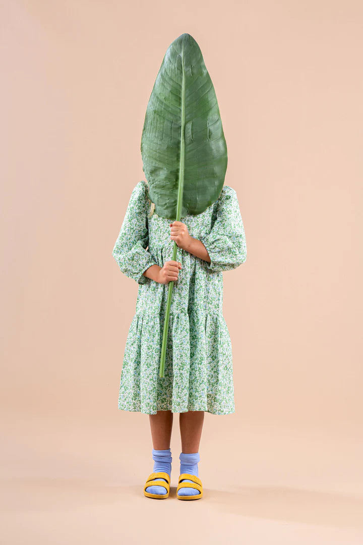 Dougal Desert Pea Floral Dress - Lime