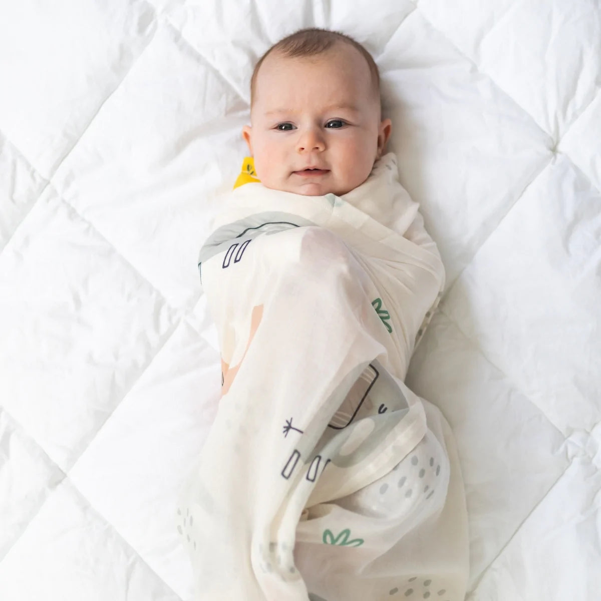 Di Lusso Eddie Elephants Muslin Wrap