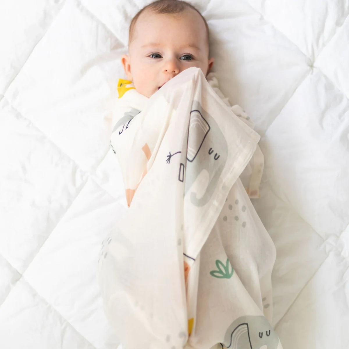 Di Lusso Eddie Elephants Muslin Wrap
