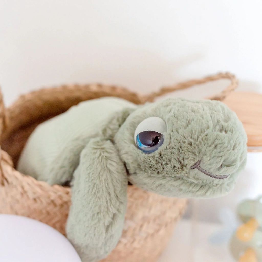 O.B Designs Tyler Turtle - Sage
