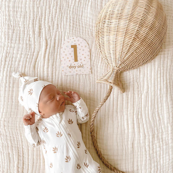 Fox and Fallow Baby Milestone Cards - Broderie
