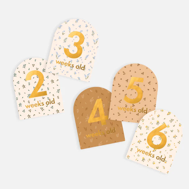 Fox and Fallow Baby Milestone Cards - Broderie
