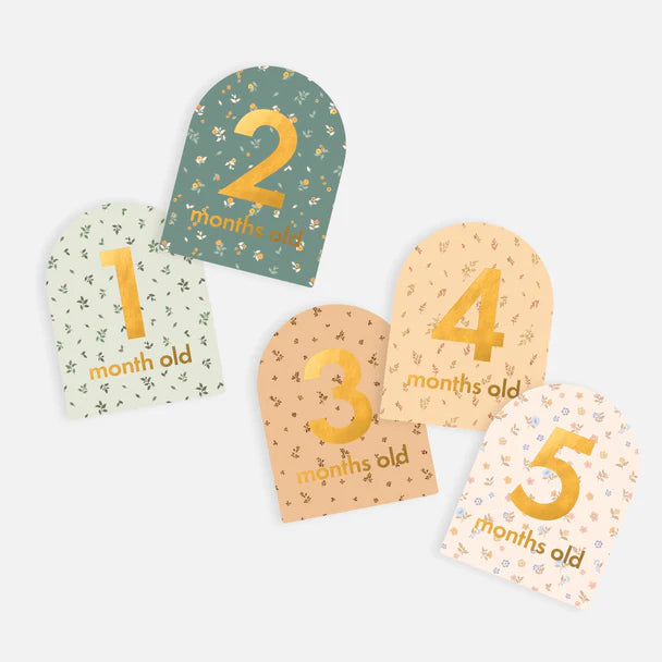 Fox and Fallow Baby Milestone Cards - Broderie