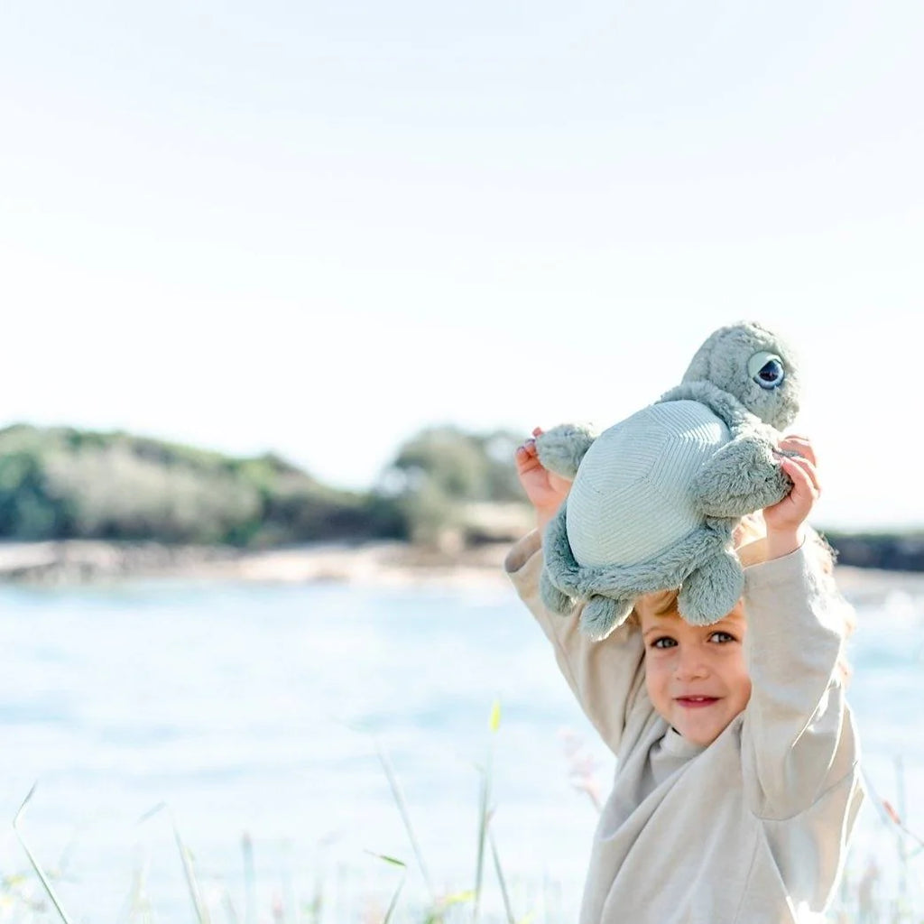 O.B Designs Tyler Turtle - Sage