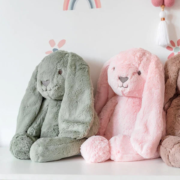 Beau bunny sales