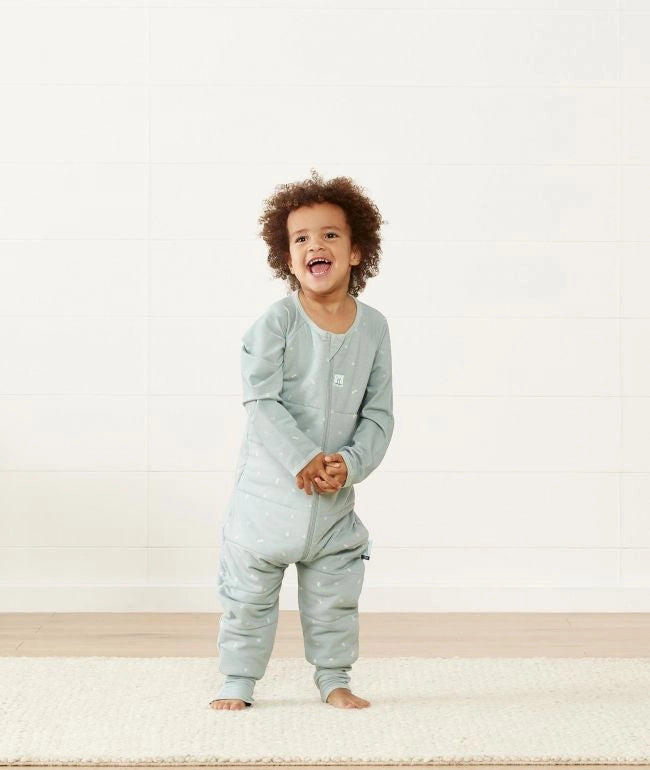 Ergo Pouch Sage TOG 2.5 Sleep Onesie