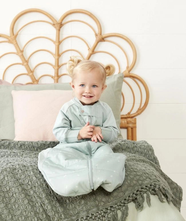 Ergo Pouch Sage TOG 2.5 Sleep Suit Bag